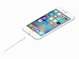 Apple MXLY2ZM/A Lightning cable - Lightning / USB - 1 m