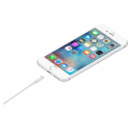 Apple MXLY2ZM/A Lightning cable - Lightning / USB - 1 m