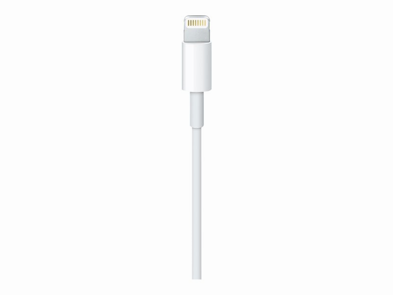 Apple MXLY2ZM/A Lightning cable - Lightning / USB - 1 m