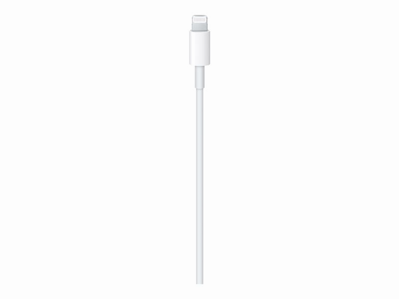 Apple Lightning cable - Lightning / USB - 2 m