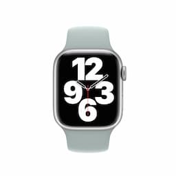 Apple/MP723ZM/A/APPLE WATCH 41 SUCCULENT SP-ZML
