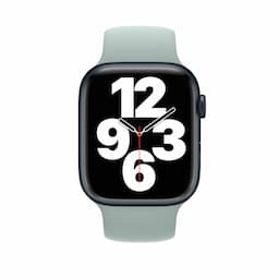 Apple/MP7M3ZM/A/APPLE WATCH 45 SUCCULENT SP-ZML