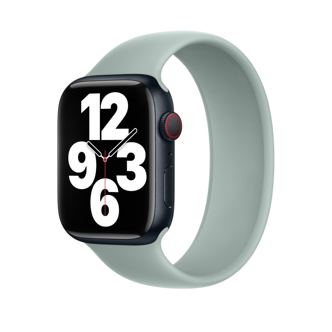Apple/MP7M3ZM/A/APPLE WATCH 45 SUCCULENT SP-ZML