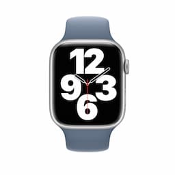 Apple/MP7U3ZM/A/APPLE WATCH 45 SLATE BLUE SP-ZML