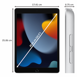 Apple 10.2-inch iPad Wi-Fi - 9th generation - tablet - 256 GB - 10.2"
