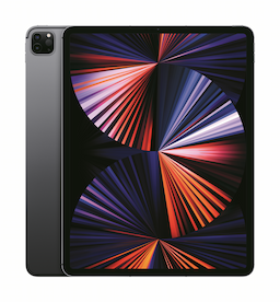 IPAD PRO 12.9 WF CL 2T GRY-HIN