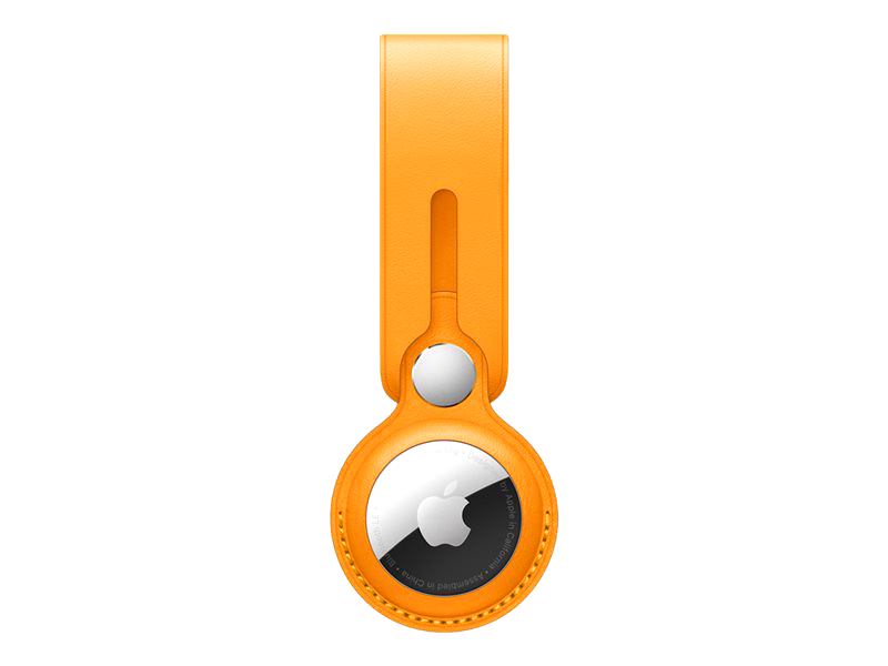 Apple AirTag Leather Loop - MM023ZM/A - Tracker - Upto 1 meter depth