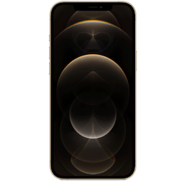 Apple iPhone 12 Pro Max (MGDE3HN/A) with 6 GB RAM, 256 GB storage, 5g technology, Dual Sim, Hexa-Core A14 Bionic Chip processor, Gold
