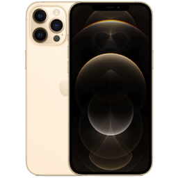 Apple iPhone 12 Pro Max (MGDE3HN/A) with 6 GB RAM, 256 GB storage, 5g technology, Dual Sim, Hexa-Core A14 Bionic Chip processor, Gold