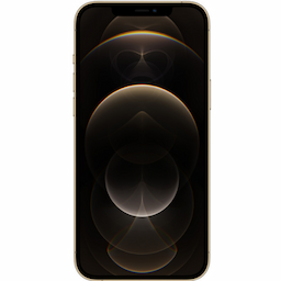 Apple iPhone 12 Pro (MGMR3HN/A) with 256 GB storage, Dual Sim, Gold