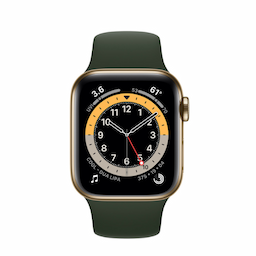 Apple Smart Watch (M06V3Hn/A) Series 6 Gps + Cellular 40 Mm Gold Stainless Steel Case With Cyprus Green Sport Band