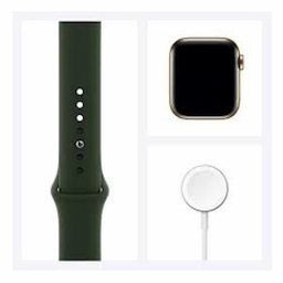 Apple Smart Watch (M06V3Hn/A) Series 6 Gps + Cellular 40 Mm Gold Stainless Steel Case With Cyprus Green Sport Band