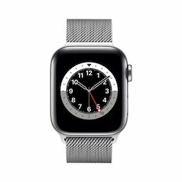 Apple Smart Watch Series 6 (GPS + Cellular) silver, 32 GB, stainless steel, smart watch with Milanese loop