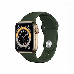 Apple Smart Watch (M06V3Hn/A) Series 6 Gps + Cellular 40 Mm Gold Stainless Steel Case With Cyprus Green Sport Band