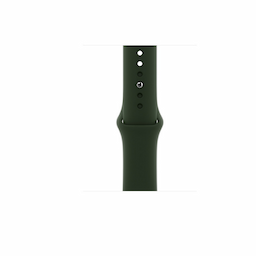Apple Smart Watch (M06V3Hn/A) Series 6 Gps + Cellular 40 Mm Gold Stainless Steel Case With Cyprus Green Sport Band
