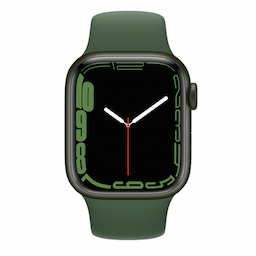 Apple Watch (MKHT3HN/A) with Sport Band