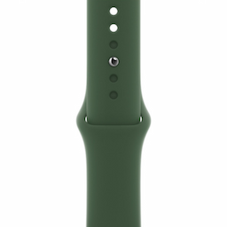 Apple Watch (MKHT3HN/A) with Sport Band