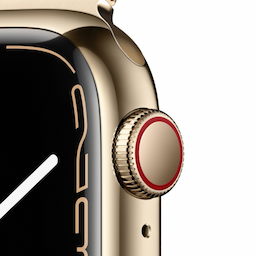 Apple Watch Series 7 GPS + Cellular - 41 mm MKHY3HN/A Gold Stainless Steel Dark Cherry Band