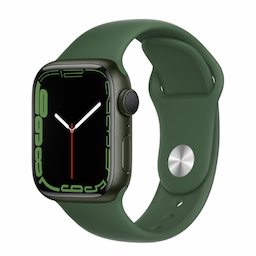 Apple Watch (MKHT3HN/A) with Sport Band