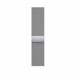 Apple Watch Series 8 GPS + Cellular 45mm Silver Stainless Steel Case with Silver Milanese Loop