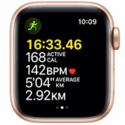 Apple (MKT13HN/A) Watch SE Smart Watch 44 mm Gold Aluminium Case with Sport Band