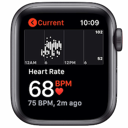 Apple Watch SE (GPS + Cellular) 32 GB, tornado/grey space grey aluminium - smart watch with sport loop