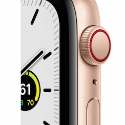 Apple (MKT13HN/A) Watch SE Smart Watch 44 mm Gold Aluminium Case with Sport Band