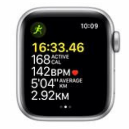APPLE WATCH SE (MKQW3HN/A) 40 GLD AL ST SP CEL