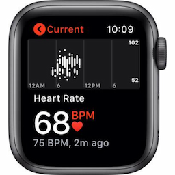 Apple (MKT33HN/A) Watch SE Smart Watch 44 mm Gold Space Grey Aluminium Case with Sport Band