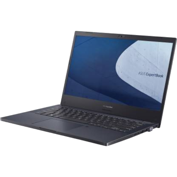 ASUS ExpertBook P2 Thin and light Laptop