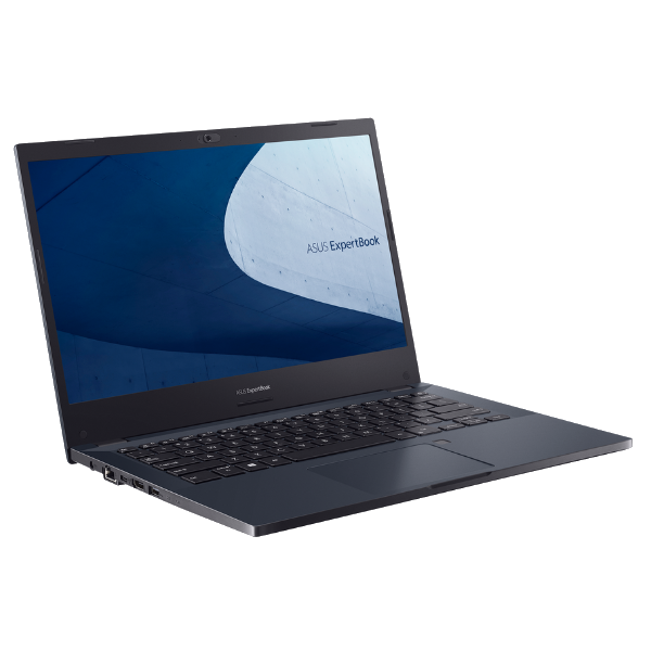 ASUS ExpertBook P2 (P2451FB)