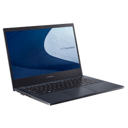 ASUS ExpertBook P2