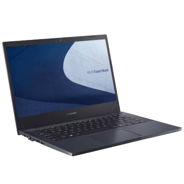 ASUS ExpertBook P2