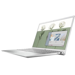 Dell Inspiron