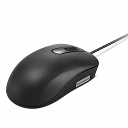 Lenovo Basic - mouse - USB - black