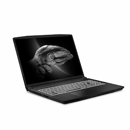 MSI Creator M16 A11UC - 899IN Gaming Laptop 9S7-158242-669 Windows 10 16 Inches 8 GB 512 GB Black
