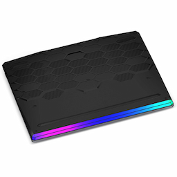 MSI GE66 Raider Core i7 10th Gen
