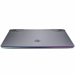 MSI GE66 Raider Core i7 10th Gen