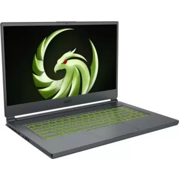 MSI Delta 15 Gaming Notebook - 9S7-15CK11-083 AMD Ryzen 9 16 GB RAM 1 TB SSD 15.6" Windows 11 Carbon Gray