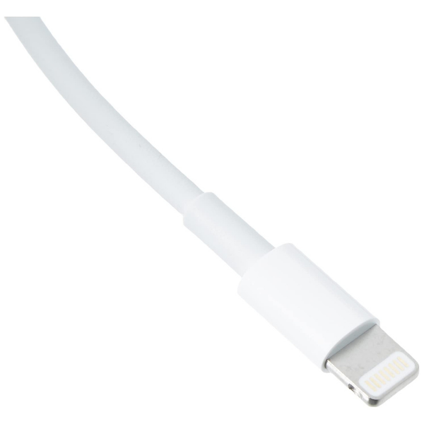 Apple Lightning cable - Lightning / USB - 2 m