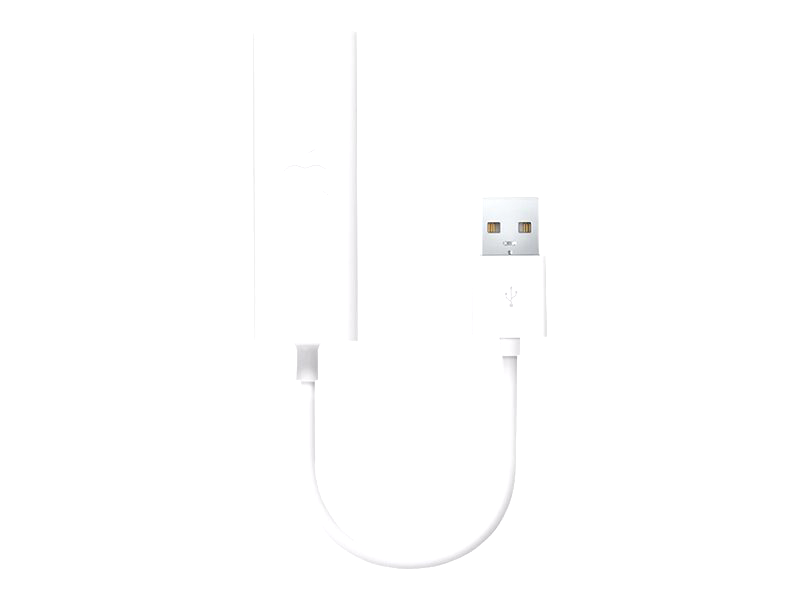 Apple USB Ethernet Adapter - network adapter - USB 2.0 - 10/100 Ethernet