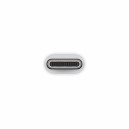 Apple USB-C to USB Adapter (MJ1M2ZM/A)