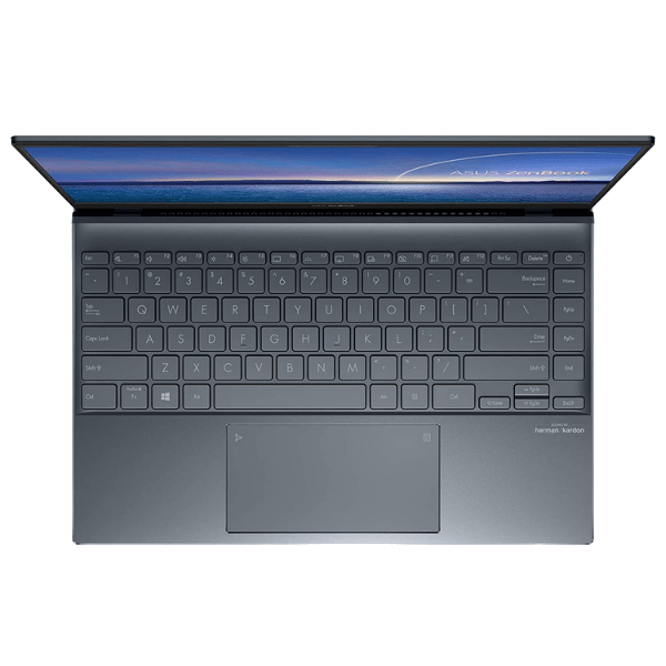 Asus ZenBook 14 Thin and Light Laptop