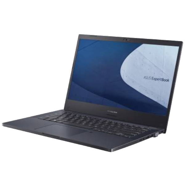ASUS ExpertBook P2