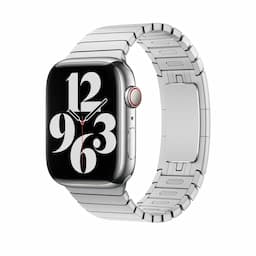 Apple 42mm Link Bracelet
