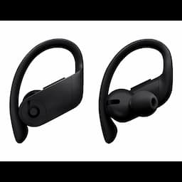 Beats Powerbeats Pro - true wireless earphones with mic