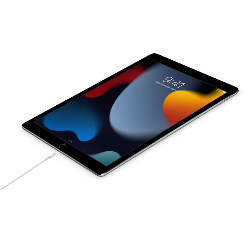 USB-C TO LIGHTNING CABLE (2M)