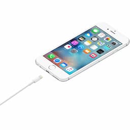Apple MUQW3ZM/A Lightning to USB Cable (1m)