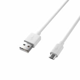 ODIO OWC24M 2.4A Wall Charger with Micro USB Cable, White