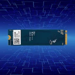 BRYT BR-5001-46 PCIe NVMe Gen 3x4 SSD 256 GB Desktop, Laptop Internal Solid State Drive (SSD) (Read Speed up to 1800 MB/s & Write Speed up to 900 MB/s)(Interface: PCIe NVMe, Form Factor: M.2)